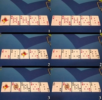 Pai Gow Poker joker card usage examples