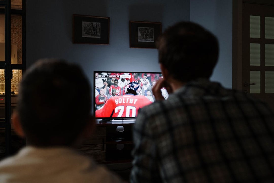 two people watching a sports game