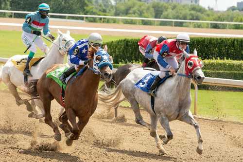 Melbourne Cup 2025 Odds - Australia's Biggest Betting Event
