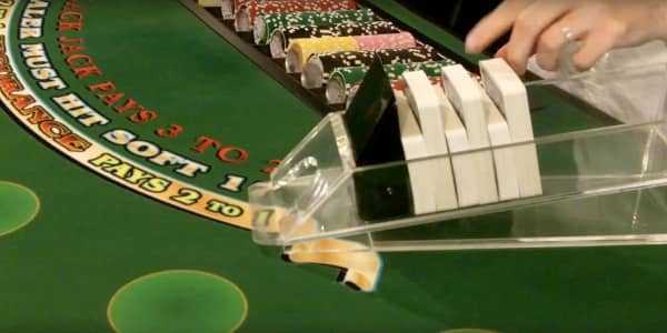 The dealer spreads the cards on the table The dealer spreads the cards on the table