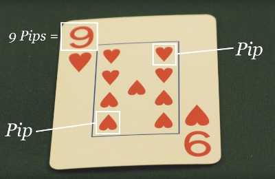 Where the pips are located Where the pips are located