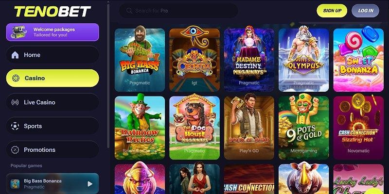 Screenshot of TenoBet