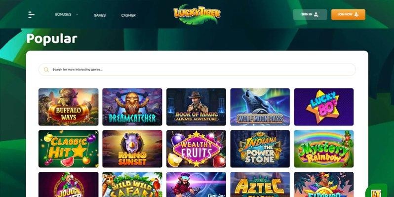 Screenshot of Lucky Tiger