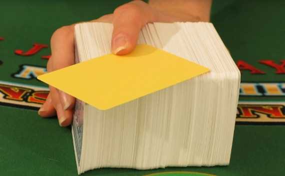 The dealer is offering the player the yellow cut card The dealer is offering the player the yellow cut card