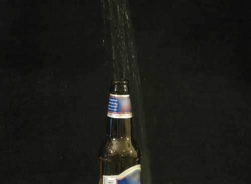 Bodily Fluids