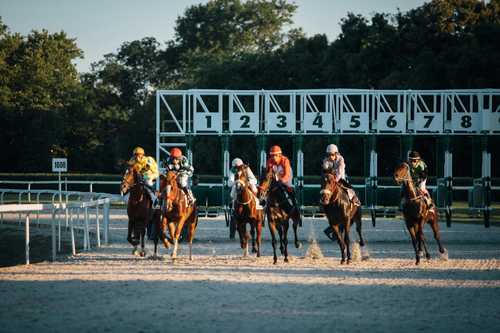 What Casino Math Players Get Right About Horse Racing